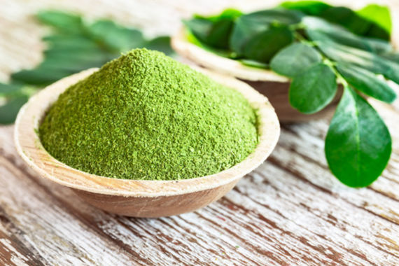 モリンガの粉末