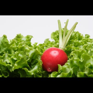 愛知を拠点とし通信販売業を営むエスケイサービス.comをご利用ください