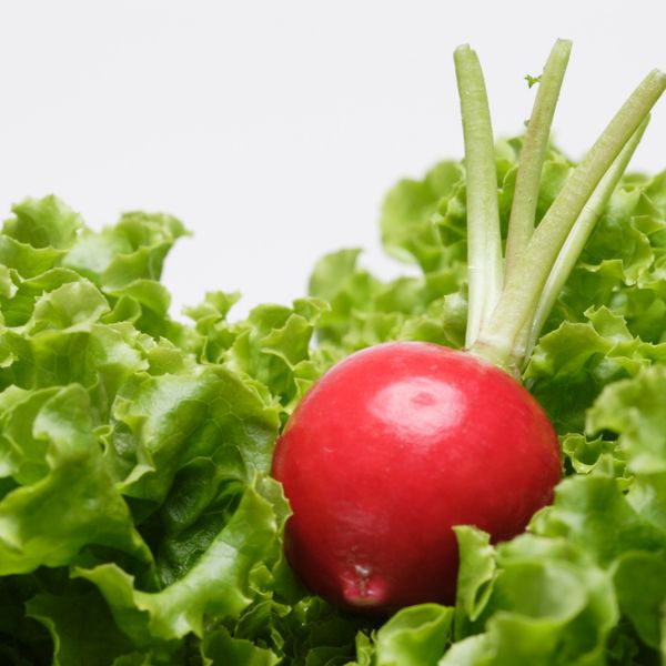 愛知を拠点とし通信販売業を営むエスケイサービス.comをご利用ください