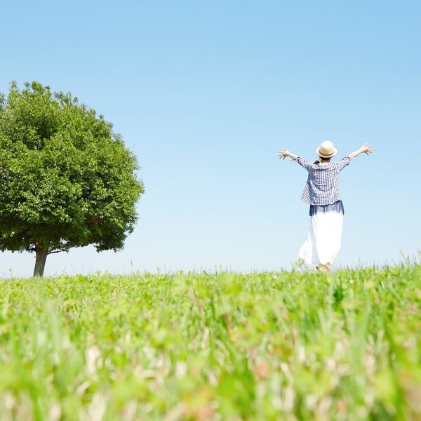 着色料や農薬は一切使用していないため安心して召し上がることができます