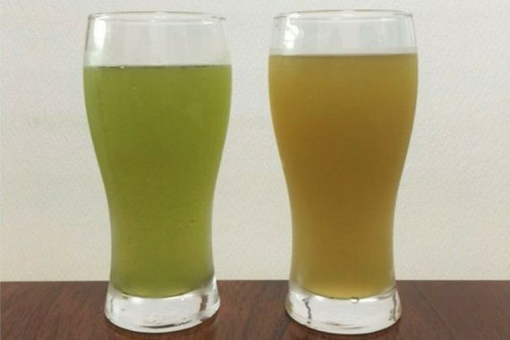 ジュースにしておいしくいただく