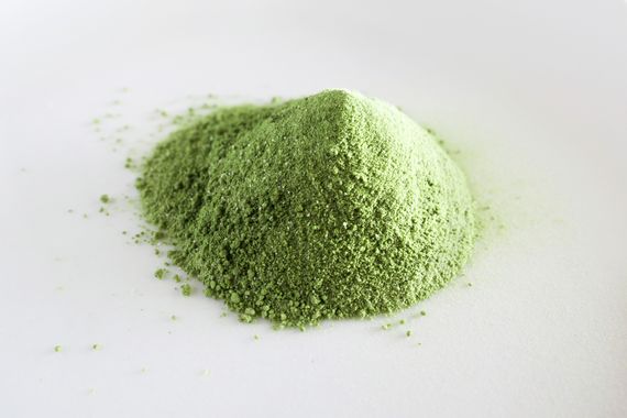モリンガの粉末