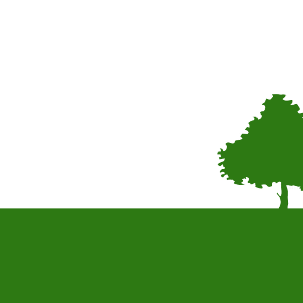 名古屋市のエスケイサービスは、健康に配慮したスーパーフードを届けます。